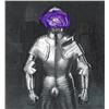 Image 1 : Eva Cellini Knight of the Cabbage, 2008