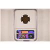 Image 2 : 1887 INDIAN HEAD CENT NGC G4BN