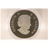 Image 2 : 2013 CANADA $10 SILVER COLORIZED MAPLE LEAF UNC