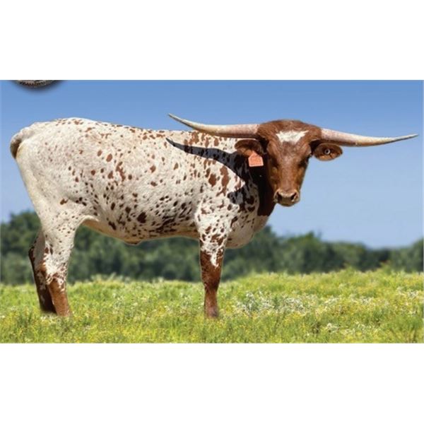 SUB LOT - HBR Josey May