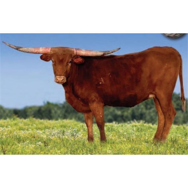 FIFTY RIVERFORKS CCR