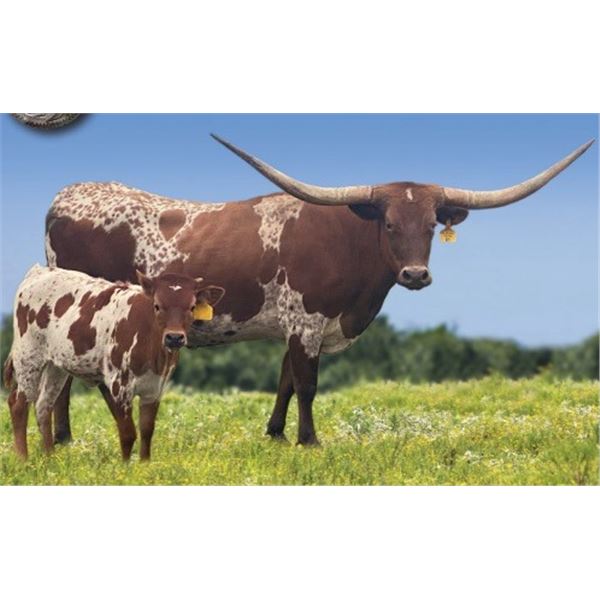 SUB LOT - LTL All About The Swag