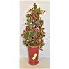 Image 1 : FRONT DOOR TOPIARY CRANBERRY POT