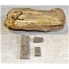 Image 1 : SET OF 3 PLANT FOSSILS MILLIONS OF YEARS OLD AND