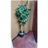 Image 1 : ARTIFICIAL TREE ATTENTION THIS IS LOCATED AT 15004 YELLOWHEAD RAMADA INN, MUST BE REMOVED BY TUESDAY