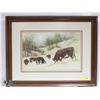 FRAMED COW PRINT 224/400 32" X 25"