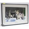 Image 1 : FRAMED 1993 TIMBER WOLF ALERT BY JOHN STONE PRINT 1288/3000 36" X 27