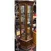 CURIO CABINET