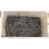 Image 1 : BOX OF 2.25 INCH NAILS