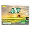 Image 1 : SASKATCHEWAN ROUGH RIDERS WALL HANGING
