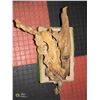 Image 1 : LOT OF 4 DRIFTWOOD PIECES