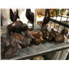 Image 2 : 9 ASSORTED IRONWOOD ANIMAL CARVINGS
