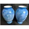Image 2 : 2 MATCHING CASED GLASS HAND PAINTED FLORAL VASES