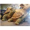 Image 2 : COLLECTIBLE ANIMALS INCLUDING; TURTLES, BEAR & PIGLETS