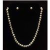 Image 1 : White Akoya Pearl Necklace with 14kt Clasp & Earrings