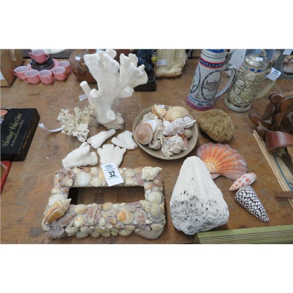 Seashell Décor