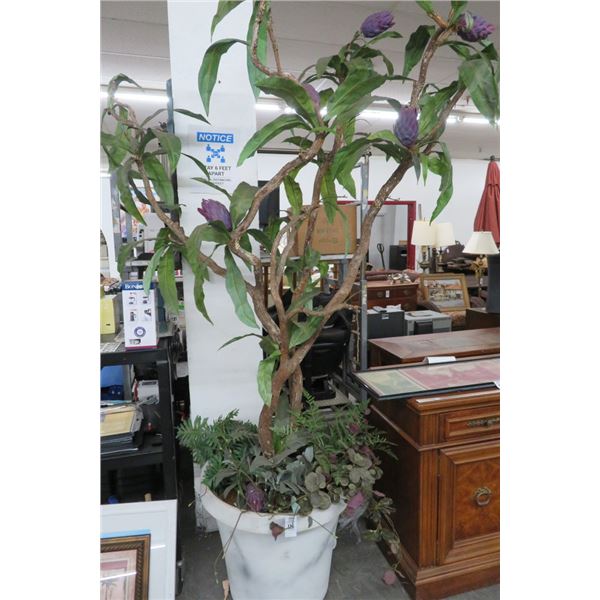 Large Potted Mango Silk Tree