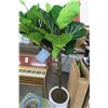 Image 1 : CG Hunter Lifelike Potted Fiddle Leaf Fig Tree w/Extra Branch
