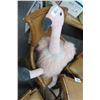 Image 1 : Flamingo Plush Toy