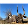 Image 3 : South Africa: 10 Day Plains Game Hunt for 4 Hunters / Includes a $1,500 Trophy Fee Credit Per Hunter