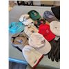 Image 3 : Assorted Hats & Scarves