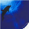 Image 2 : Dolphin Floatin by Wyland Original