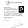 Image 5 : 14KT White Gold GIA Certified 16.98 ctw Tanzanite and Diamond Ring