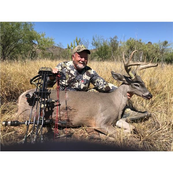 Archery Coues Deer Mexico
