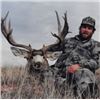 Image 2 : New Mexico Mule Deer Archery or Muzzleloader