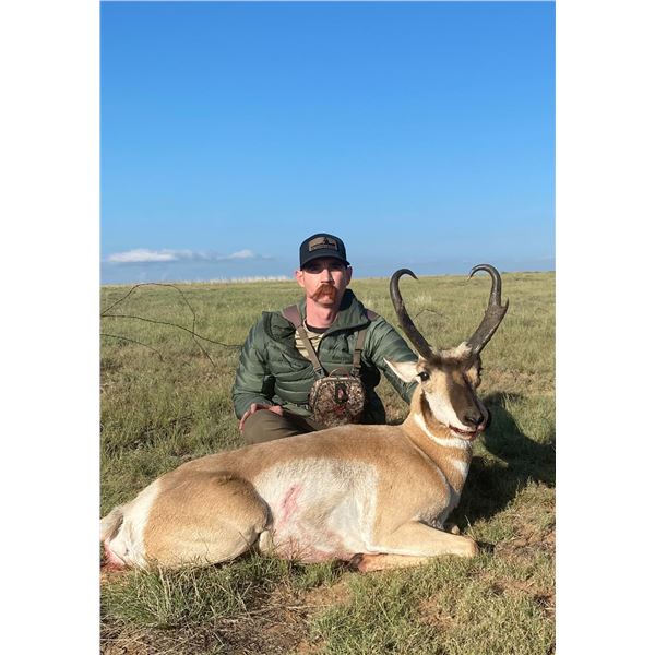 Antetlope New Mexico