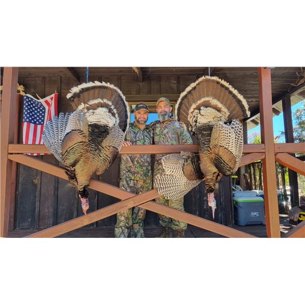 Mexico Goulds Turkey Hunt for 2
