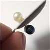 Image 2 : 14K  FRESH WATER PEARL6MM 2IN1 EARRINGS