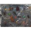 Image 2 : Insects in Acrylic Artwork
