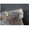 Image 8 : Insects in Acrylic Artwork