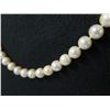 Image 2 : Pearl Necklace w/ Clasp & Marking 18"L