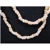 Image 2 : Long Shell Lei 52"L