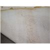 Image 8 : Hawaiian Traditional Quilt White w/ Tan Plumeria Design 93"x86"