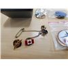 Image 3 : lot of pins & medal
