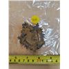 Image 2 : ANTIQUE REGIMENT BADGE?