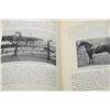 Image 3 : 1924 Horse Husbandry book