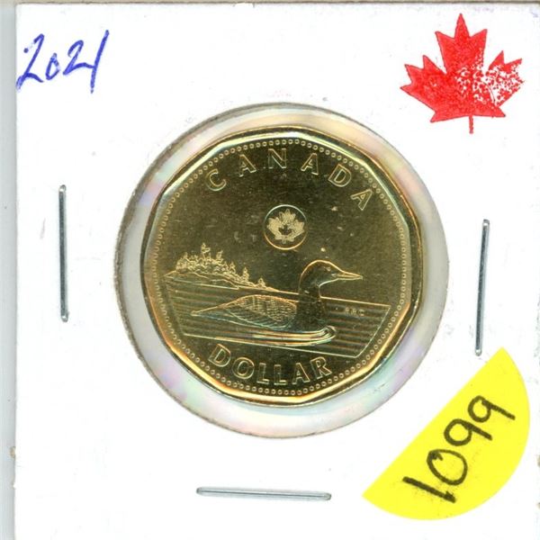 202 UNC Loonie