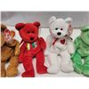 Image 4 : Beanie baby lot