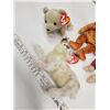 Image 4 : Beanie baby lot