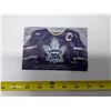 Image 1 : Used Copy of Toronto Maple Leafs Stamp