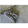 Image 3 : Chain w/ Hook Ends - Approx. 12ft