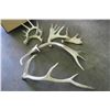 Image 2 : Lot of 6 Shed Antlers - Deer & Elk