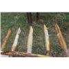 Image 5 : Bale Scoop & Misc. Iron
