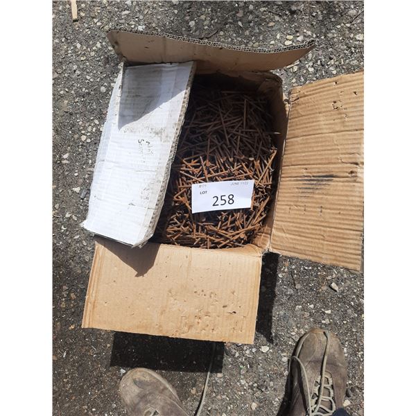 Box of 3" Nails