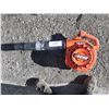 Image 1 : Echo Leaf Blower
