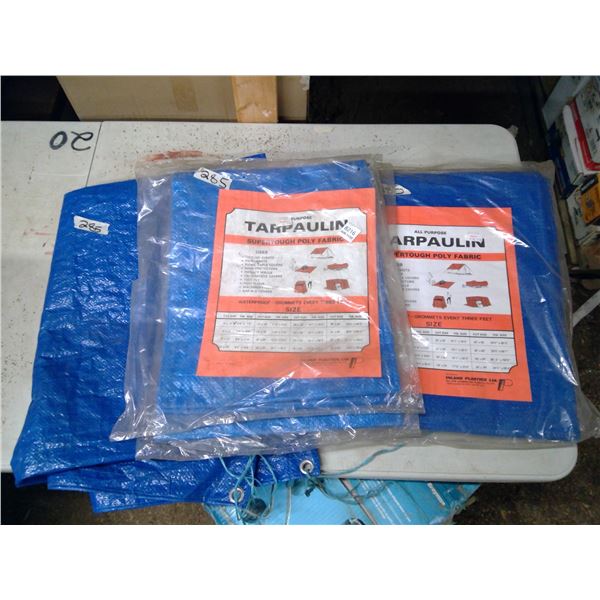 Tarps - 6'x8' and 10'x12'